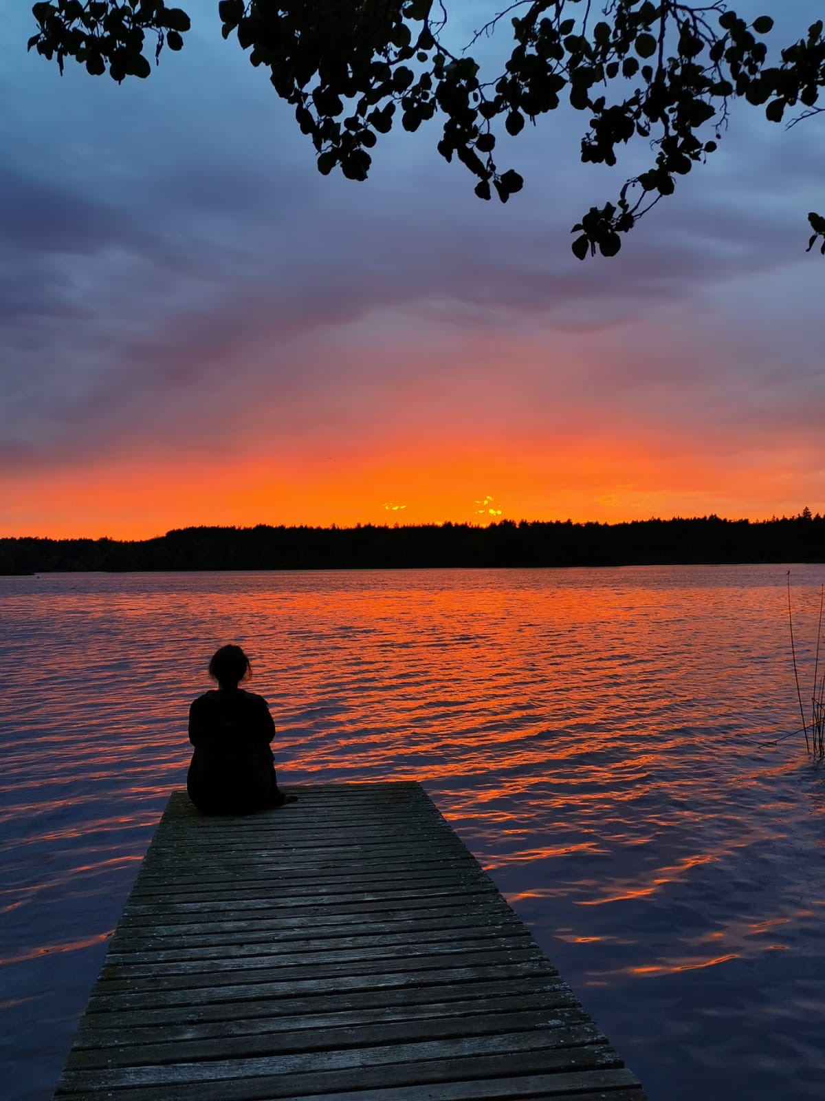 Das Dividenden-Sabbatical ruft: Monatsrückblick Juni 2024